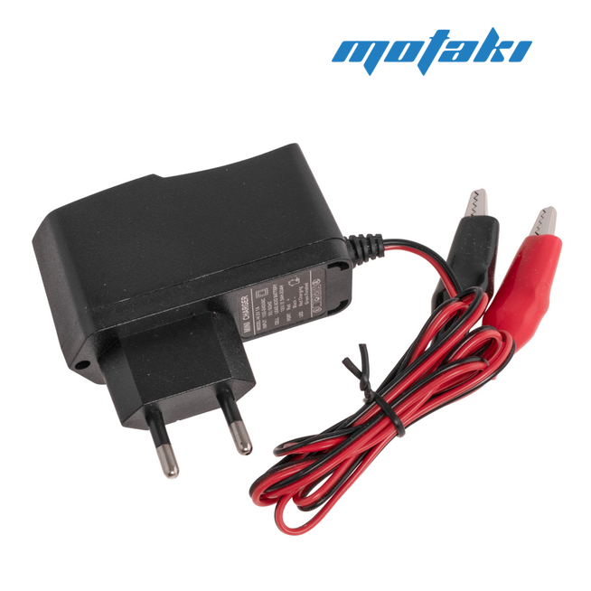 Зарядное устройство 12В 1А CHEAP (защита, автоматическое отключение)