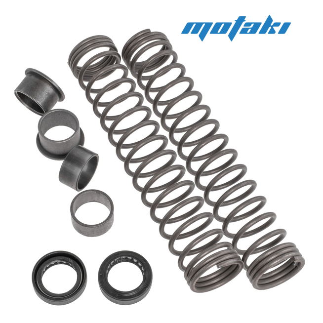 Ремкомплект передней вилки Delta, Зодиак (с пружинами)