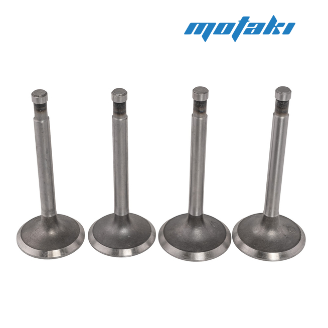 Клапана Днепр (комплект 4 шт., CN)