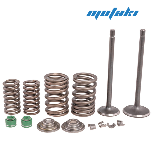 Ремкомплект головки CG (клапаны D24-25/30 мм., сухари, пружины, тарелки, колпачки)