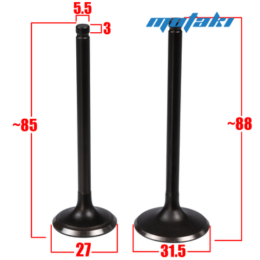 Клапаны CB250-F, PR250 (D27/31.5*h85/88) 172FMM-3A/5