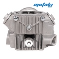 Головка Альфа, Delta 50cc (ГБЦ d39mm 139FMB) X-tech