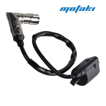 Катушка зажигания CG-CB, TTR250 (2 крепежа, металлический колпак 90Г)