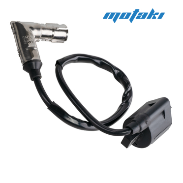 Катушка зажигания CG-CB, TTR250 (2 крепежа, металлический колпак 90Г)