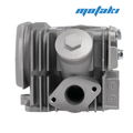 Головка Альфа 82-100сс (ГБЦ d50mm 150FMG в сборе) Lipai PRO