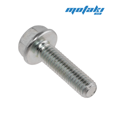 Болт цилиндра CG (М6 х 1 x 22 мм.)