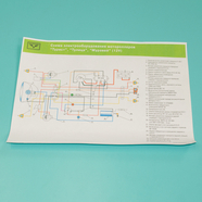 Схема электрооборудования Муравей, Тулица, Турист (12В, цветная)