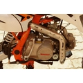 Питбайк XR125 Motoland (колеса 17/14, фара, стартер, бело-оранжевый)