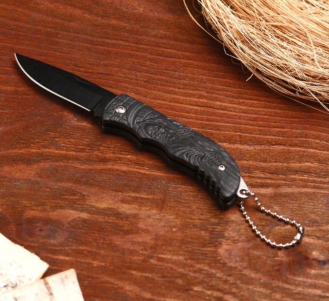 Нож складной Мастер СМЕРТЬ (сталь, пластик, ПД 160 мм.)