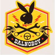 Наклейка DALNOBOY (200 x 200 мм.)